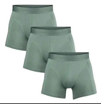 Salming Kalsonger 3P Bamboo Boxer Grön Large Herr
